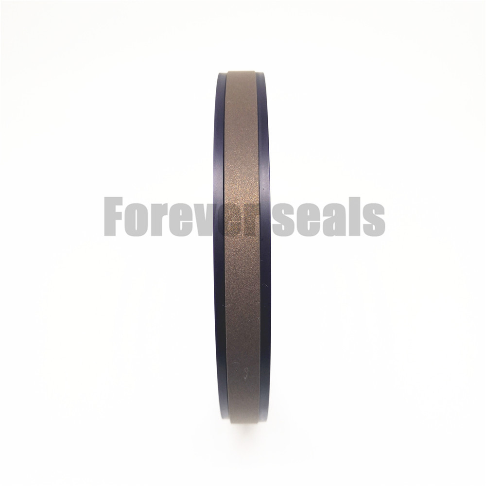 Compact bronze PTFE piston seal SPGW