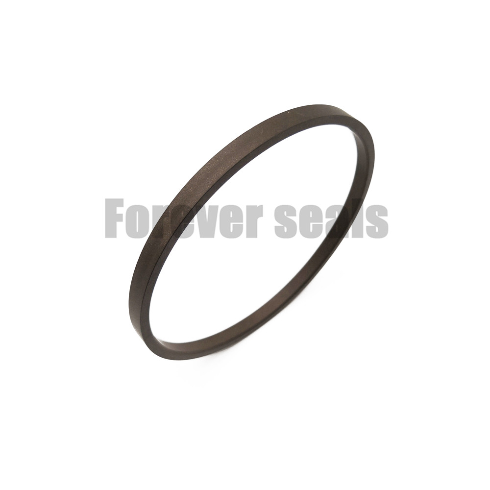 Hydraulic cylinder bronze PTFE rod glyd ring GSI