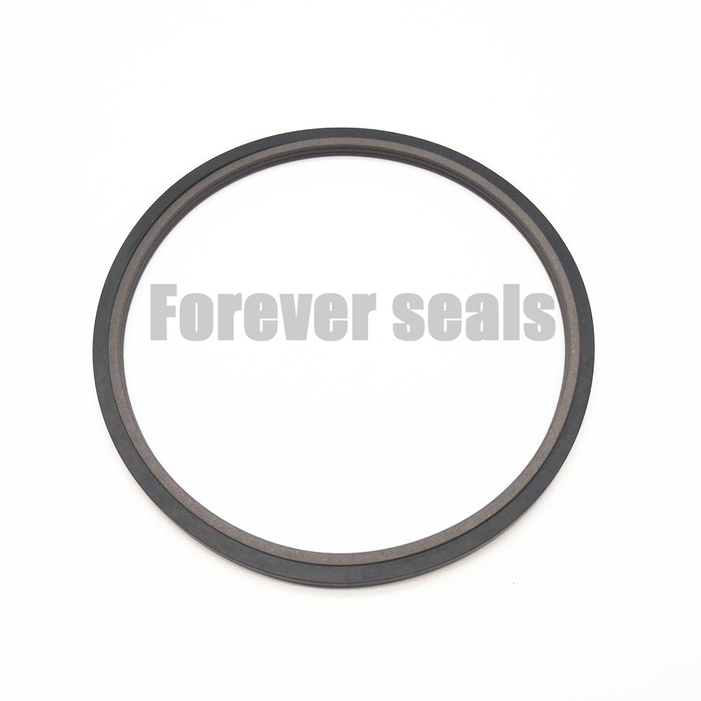 Hydraulic bronze PTFE rod seal SPN