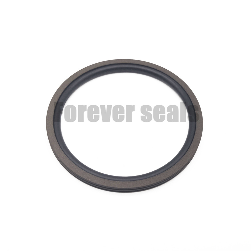 PTFE Rotary piston seal roto glyd ring GNS