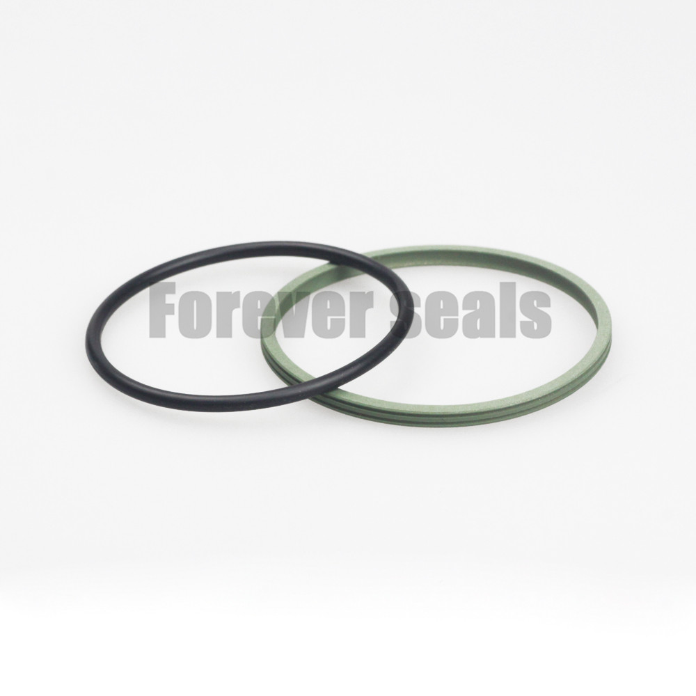 PTFE Rotary piston seal roto glyd ring GNS