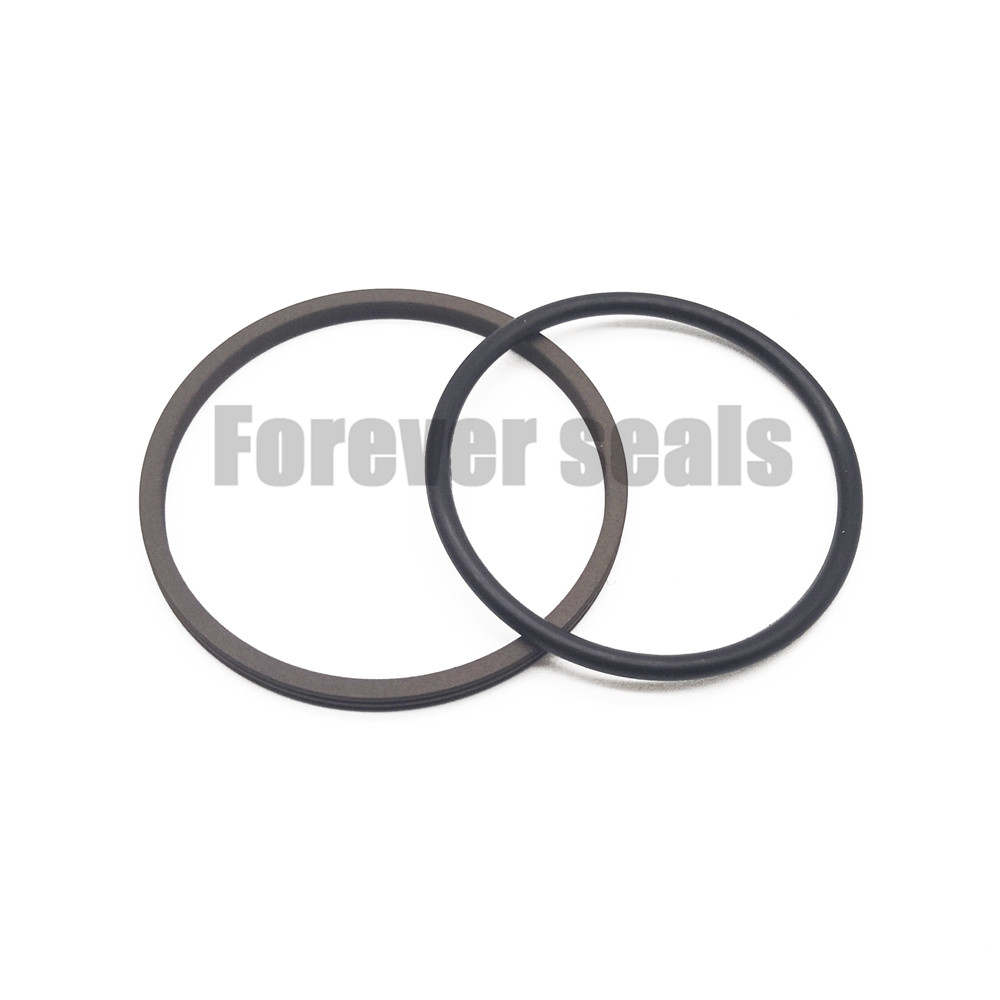 GNS - PTFE Rotary piston seal roto glyd ring