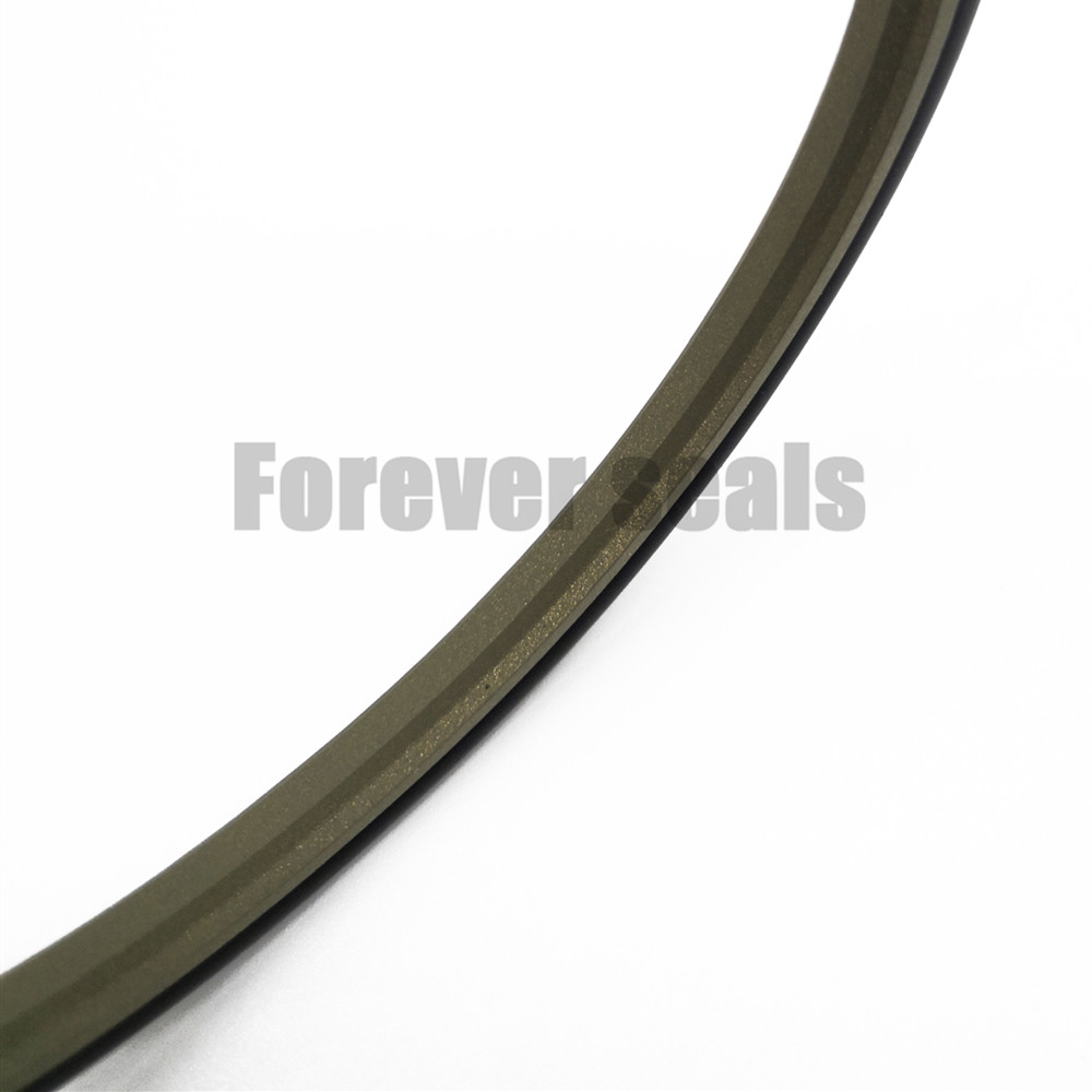 GSJ - Hydraulic cylinder bronze PTFE rod buffer step seals