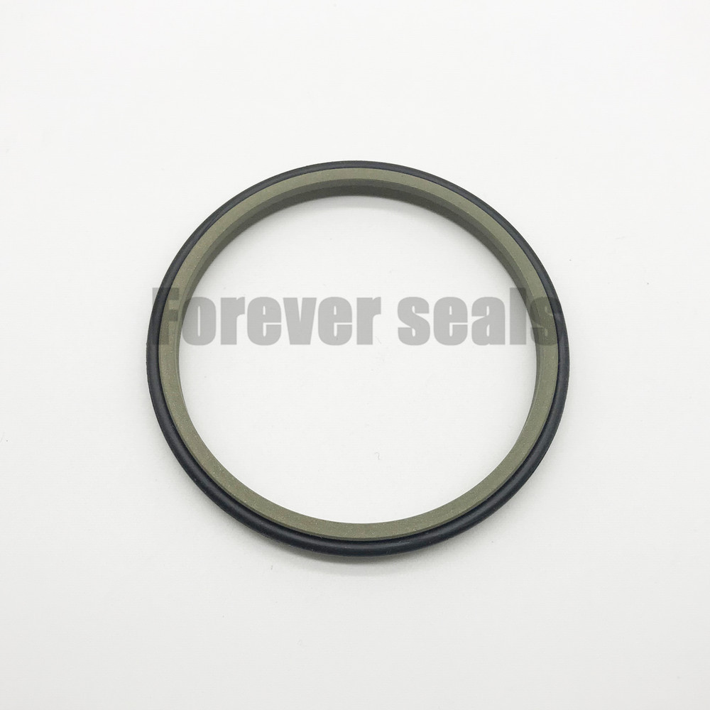 GSZ - Hydraulic cylinder wiper seal excluder 2