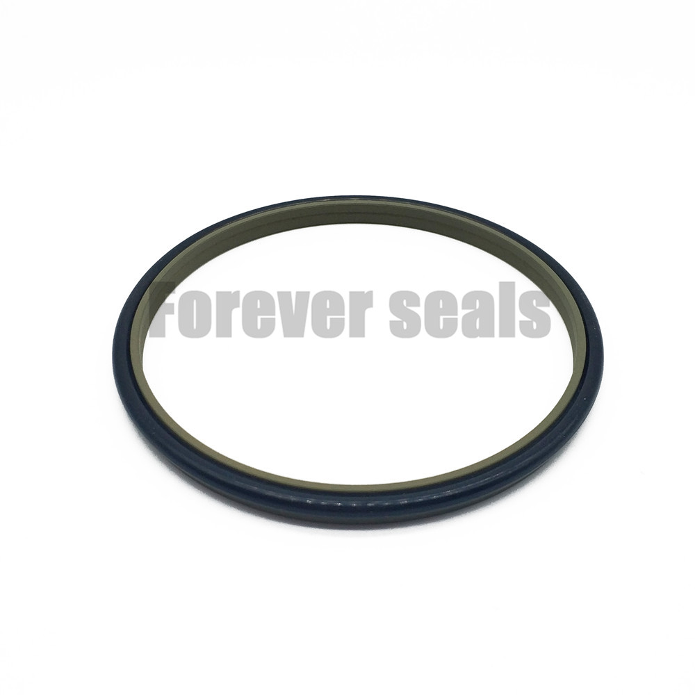 GSZ2 - Hydraulic cylinder wiper seal excluder 5