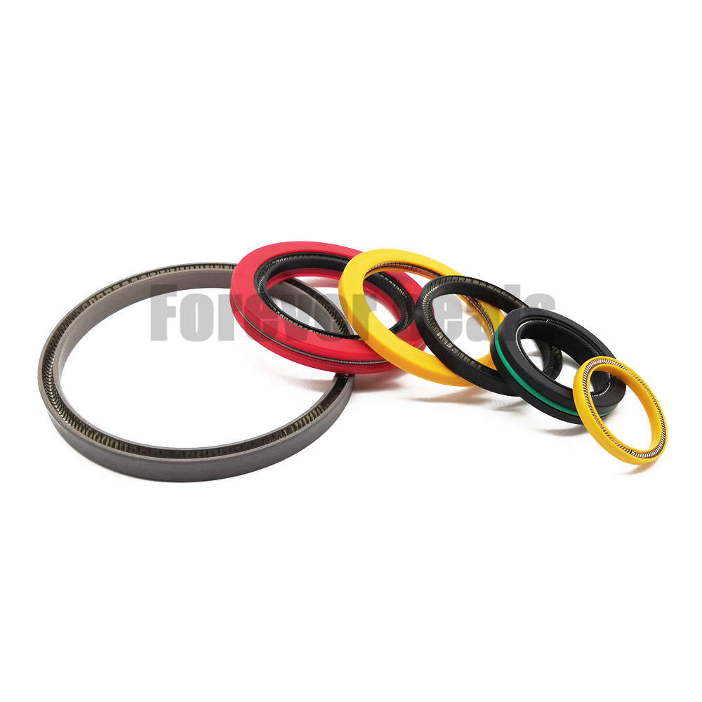 TVM - Rotary spring energized seals