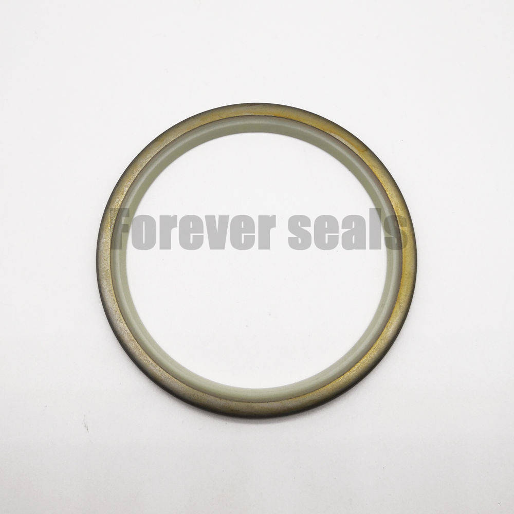 DLI hydraulic dust wiper oil seal