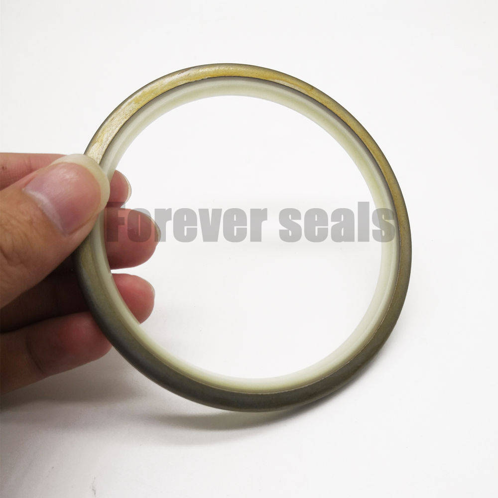 DLI hydraulic dust wiper oil seal