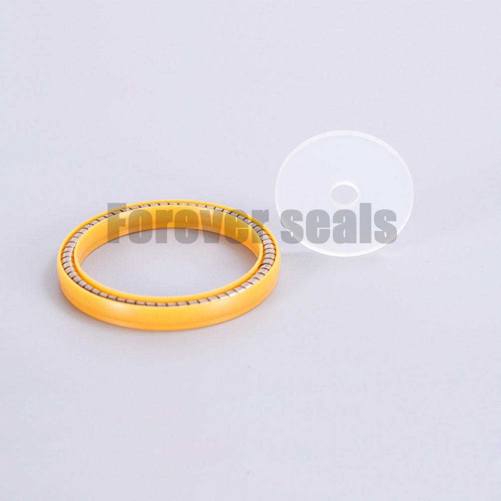 LNG 50E701-3 nozzle spring energized seals