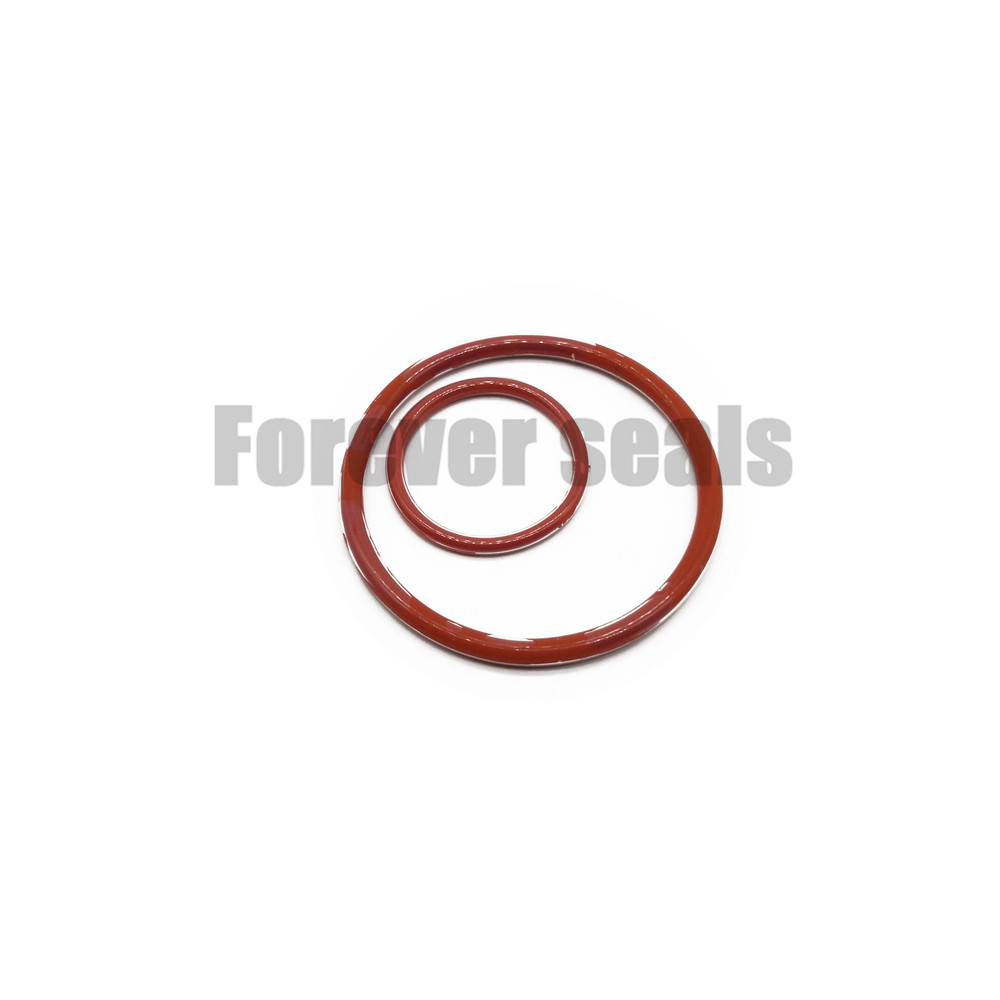 FEP PFA encapsulated silicone O-Rings
